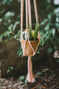 Plant Hanger | Blush