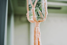 Load image into Gallery viewer, Plant Hanger | Blush