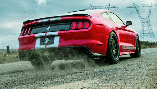 rival plus productshowcase